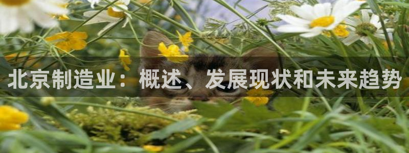 彩神 好 平台：北京制造业：概述、发展现状和未来趋势