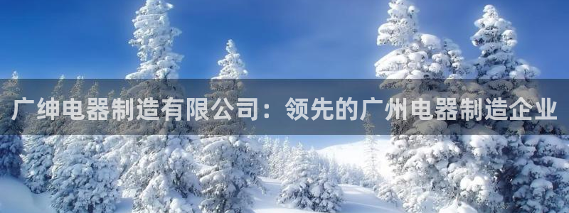 v彩神88iii：广绅电器制造有限公司：领先的广州电器制造企业