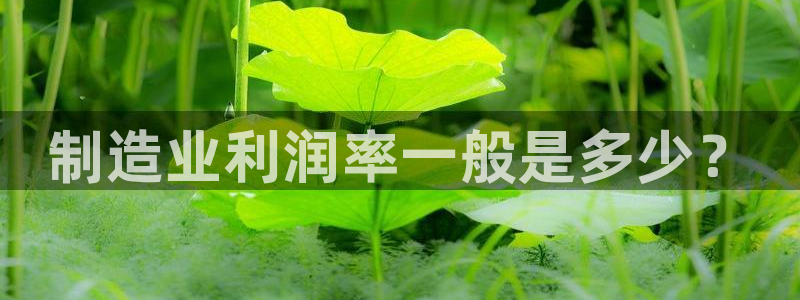 彩神VI首页