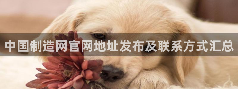 彩神vii官网大赢家