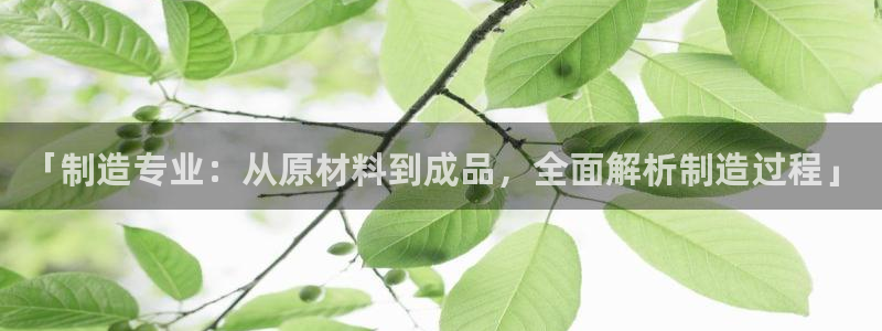 彩神ⅴll是什么样平台：「制造专业：从原材料到成品，全面解析制造过程」