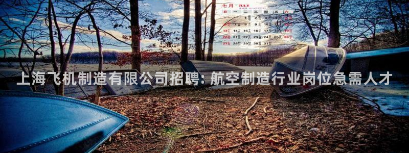 大发彩神官网下载：上海飞机制造有限公司招聘: 航空制造行业岗位急需人才