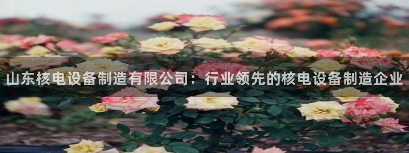 彩神大发如何观察走势