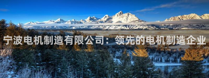彩神是什么平台的游戏：宁波电机制造有限公司：领先的电机制造企业