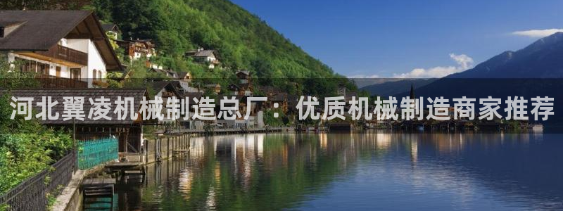 彩神vl购彩大厅：河北翼凌机械制造总厂：优质机械制造商家推荐