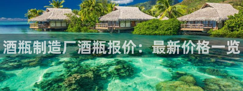 彩神VII官方版：酒瓶制造厂酒瓶报价：最新价格一览
