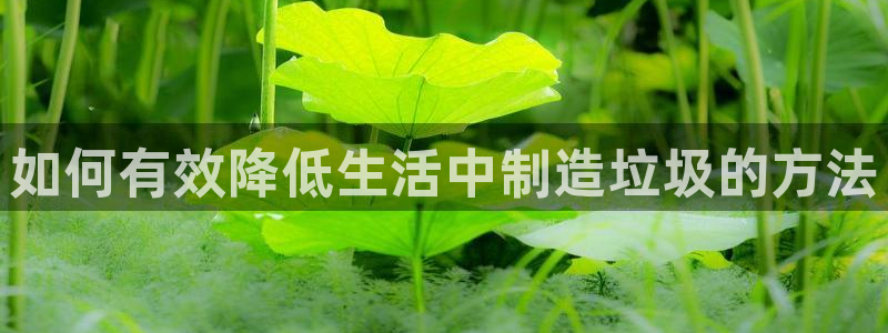 彩神V集团有限公司：如何有效降低生活中制造垃圾的方法