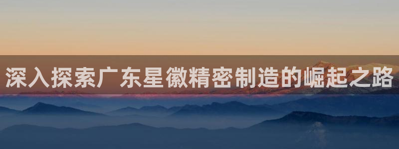 彩神到底能不能赚钱：深入探索广东星徽精密制造的崛起之路
