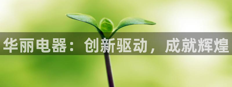 彩神是什么平台的游戏：华丽电器：创新驱动，成就辉煌