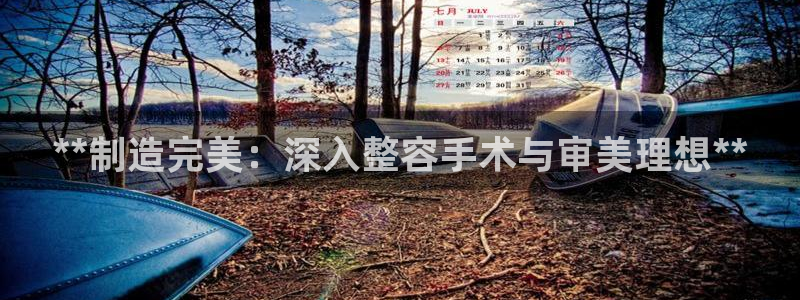 彩神ix官网：**制造完美：深入整容手术与审美理想**