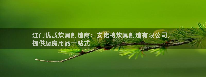 彩神vll官网在线登录：江门优质炊具制造商：安诺特炊具制造有限公司，
提供厨房用品一站式