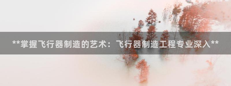 彩神vip官方网站：**掌握飞行器制造的艺术：飞行器制造工程