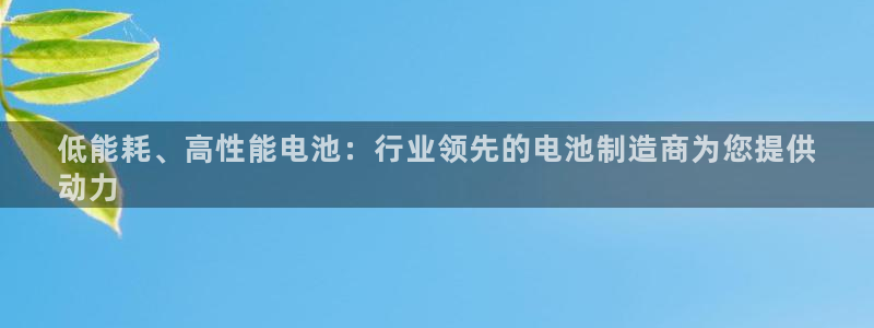 彩神网可以赚钱是真的吗：低能耗、高性能电池：行业领先的电池制