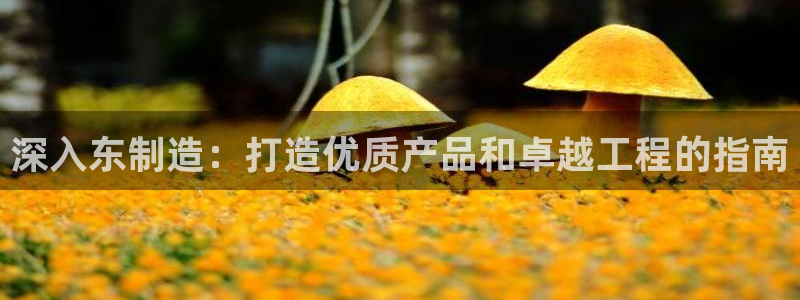 彩神vip购彩大厅：深入东制造：打造优质产品和卓越工程的指南