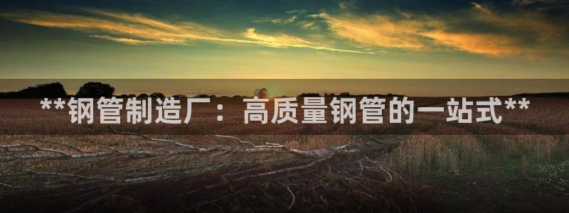 彩神大发云：**钢管制造厂：高质量钢管的一站式**