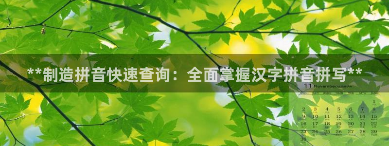 在彩神网输了六万多怎么拿回来：**制造拼音快速查询：全面掌握