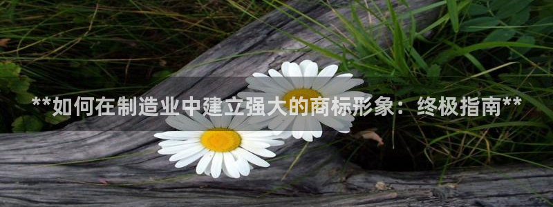 所有彩神购买首页中心：**如何在制造业中建立强大的商标形象：终极指南**