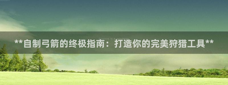 彩神争霸官方下载2017：**自制弓箭的终极指南：打造你的完