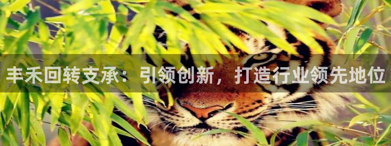 彩神8下载安卓版-彩神8(可提现)官网版1.0.0：丰禾回转支承：引领创新，打造行业领先地位