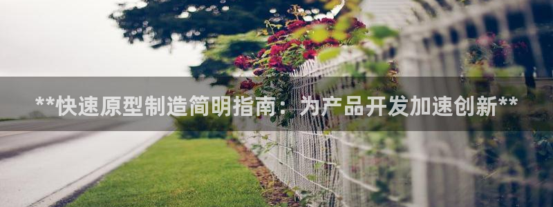 彩神大发三期计划网站：**快速原型制造简明指南：为产品开发加速创新**