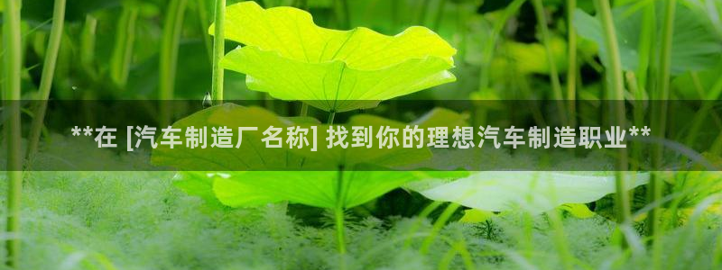 彩神购彩-购彩大厅入口：**在 [汽车制造厂名称] 找到你的理想汽车制造职业**