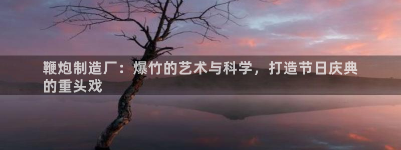 彩神 好 平台：鞭炮制造厂：爆竹的艺术与科学，打造节日庆典
的重头戏