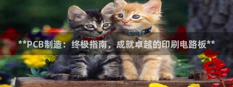 彩神vlll官网网上购彩：**PCB制造：终极指南，成就卓越