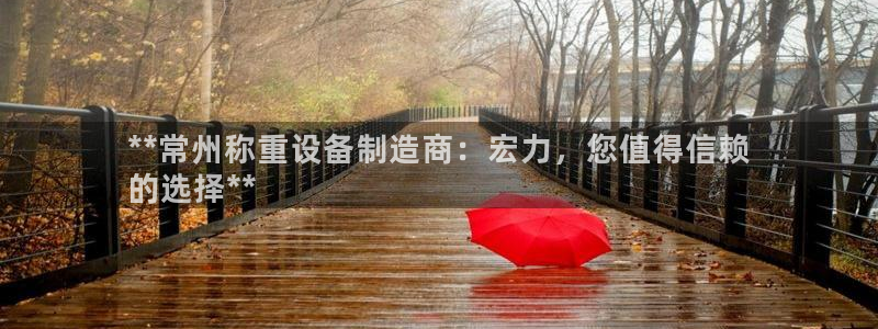 新版彩神v8登录不了：**常州称重设备制造商：宏力，您值得信赖
的选择**