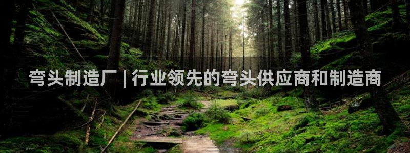 彩神app能挣到钱吗：弯头制造厂 | 行业领先的弯头供应商和制造商