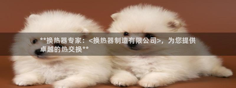 彩神到底能不能赚钱：**换热器专家：<换热器制造有限公司>，为您提供
卓越的热交换**