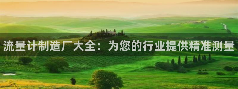 彩神8是正规平台吗是正品吗：流量计制造厂大全：为您的行业提供精准测量
