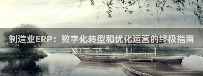 彩神iv真的能赚钱吗：制造业ERP：数字化转型和优化运营的终极指南