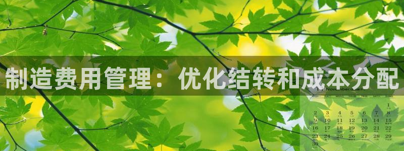 下载彩神通关注金码：制造费用管理：优化结转和成本分配