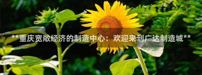 彩神v网赌软件下载：**重庆宽敞经济的制造中心：欢迎来到广达制造城**