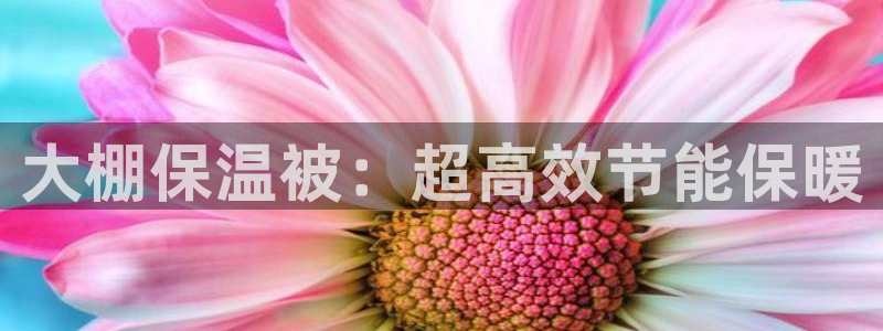 彩神v1破解器：大棚保温被：超高效节能保暖