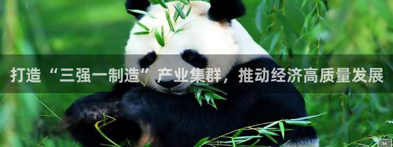 彩神是怎样一个平台：打造“三强一制造”产业集群，推动经济高质