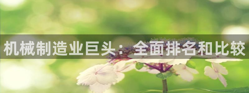 彩神大发是不是人为操作：机械制造业巨头：全面排名和比较