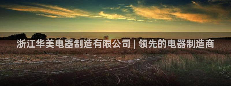 彩神网能赚钱是怎么回事：浙江华美电器制造有限公司 | 领先的电器制造商