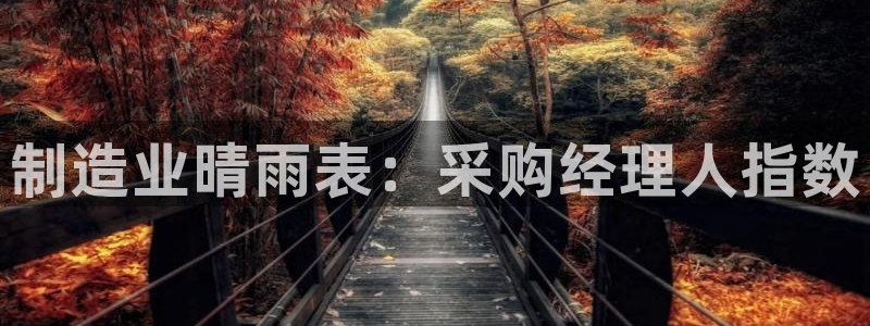 彩神平台是真的吗：制造业晴雨表：采购经理人指数