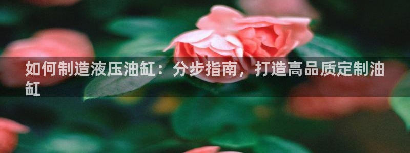 彩神v下载安装：如何制造液压油缸：分步指南，打造高品质定制油