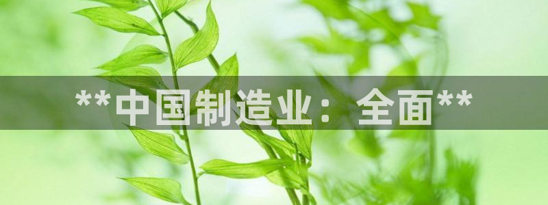 彩神V8有限公司：**中国制造业：全面**