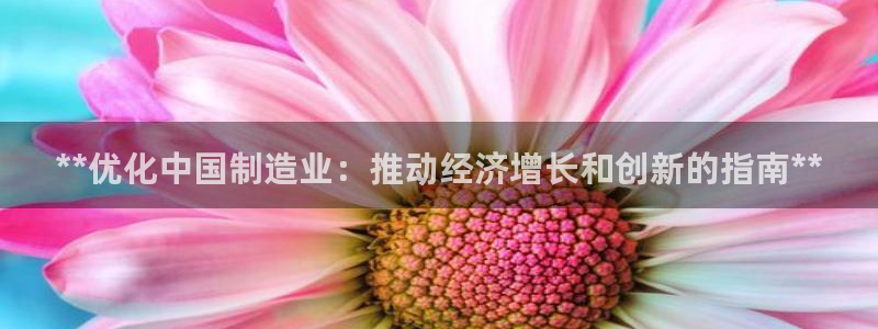 彩神旗下有哪些平台可以玩：**优化中国制造业：推动经济增长和