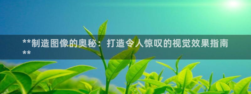 彩神购彩-购彩大厅入口娱乐首选：**制造图像的奥秘：打造令人