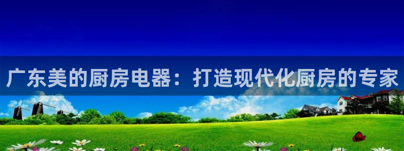 彩神争霸老平台：广东美的厨房电器：打造现代化厨房的专家