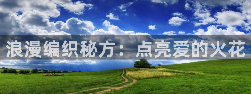 彩神赢了钱登录不上去：浪漫编织秘方：点亮爱的火花
