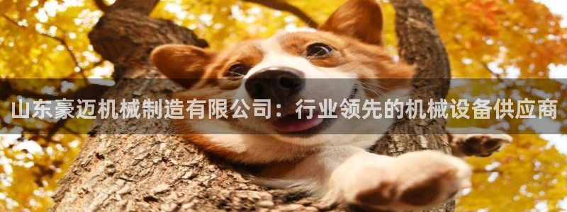 彩神v8平台正规吗可靠吗：山东豪迈机械制造有限公司：行业领先的机械设备供应商