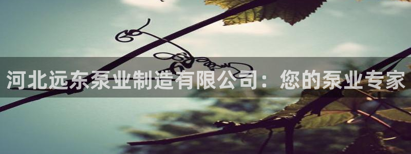 彩神购彩-购彩大厅入口下载：河北远东泵业制造有限公司：您的泵业专家