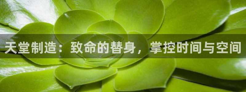 彩神vip购彩大厅下载：天堂制造：致命的替身，掌控时间与空间