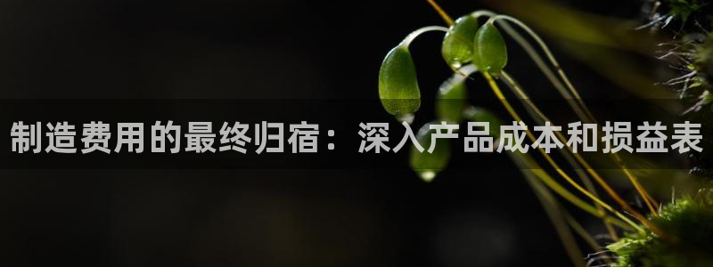 彩神8app官方下载