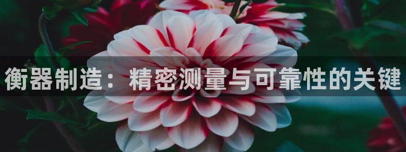 彩神vll官网-最新版app下载：衡器制造：精密测量与可靠性的关键